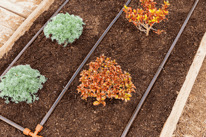 Micro Irrigation