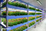 Sananbio - Vertical Hydroponic System